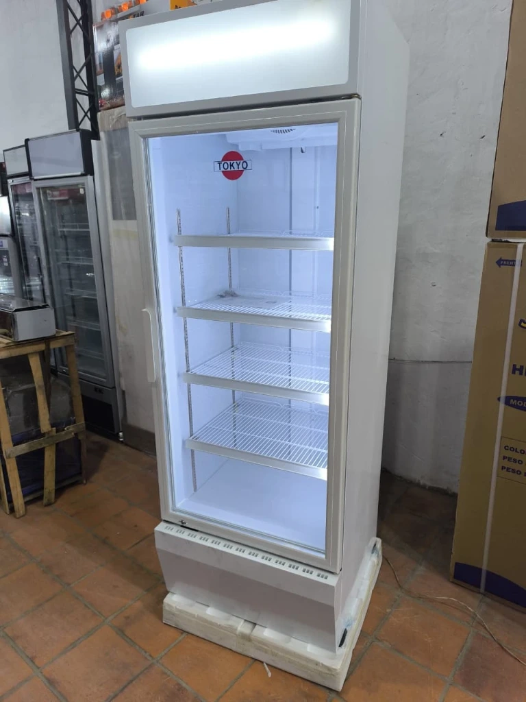 [1369] VISICOOLER TOKYO FRIO SECO TOKVS540FS 540L